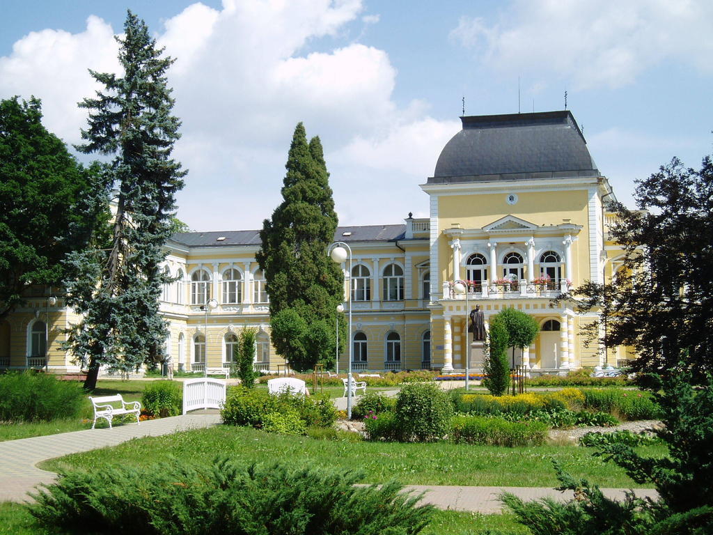Dr. Adler Spa & Kurhotel Františkovy Lázně Exteriör bild